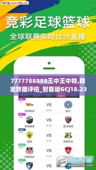 王中王493333WWW,王中王，数字背后的故事与意义