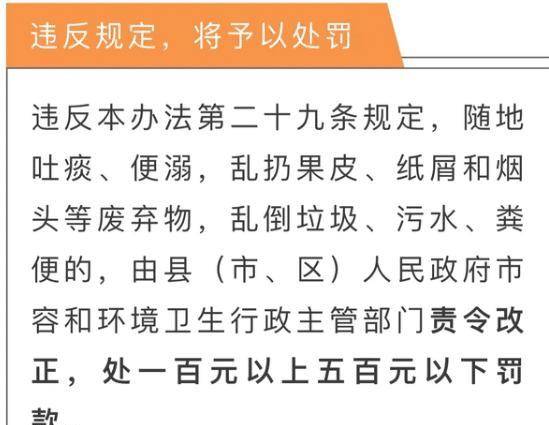 管家婆204年资料一肖,揭秘管家婆204年资料一肖，背后的秘密与深度解析