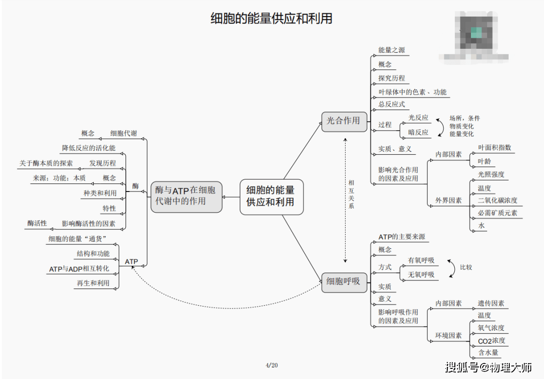 今晚必出三肖,今晚必出三肖，预测与解析