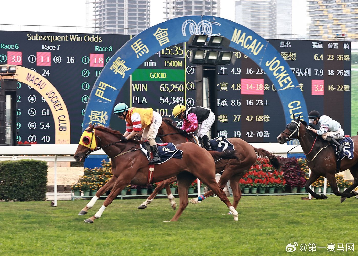 香港内部马料免费资料亮点,香港内部马料免费资料亮点深度解析