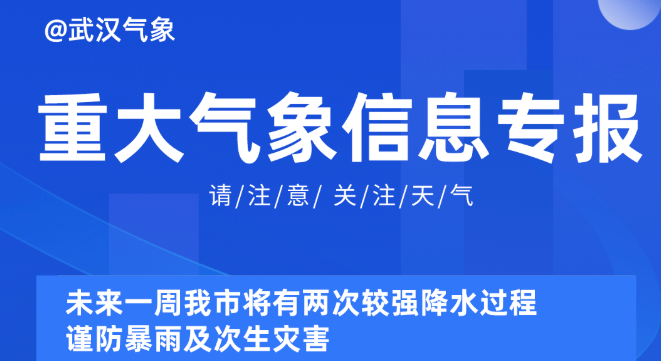 2025新澳资料免费精准051,探索未来之门，关于新澳资料免费精准资讯的探讨（2025展望）