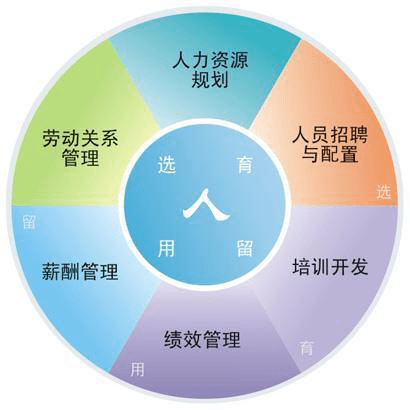 二四六免费资料大全板块013期 06-15-48-22-31-45T：35,二四六免费资料大全板块013期——探索知识的宝库，掌握未来的关键（06-15-48-22-31-45T，35）